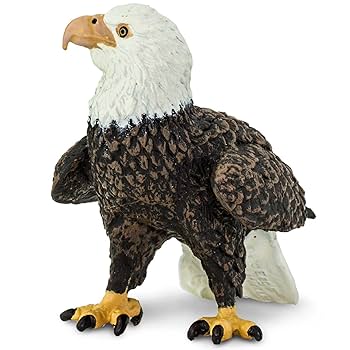 2個セットAmerican Eagle REAL 50mL リアル 2個セットAmerican Eagle REAL 50mL リアル